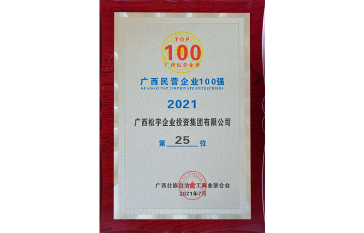 廣西民營(yíng)企業(yè)100強(qiáng)第25位