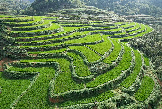 項目實(shí)景圖